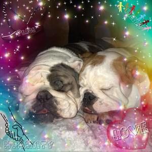 Meet your Posher, Jenni